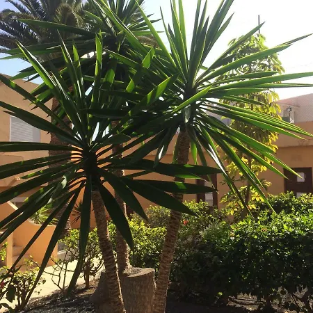 Lasvistasapartment * Corralejo